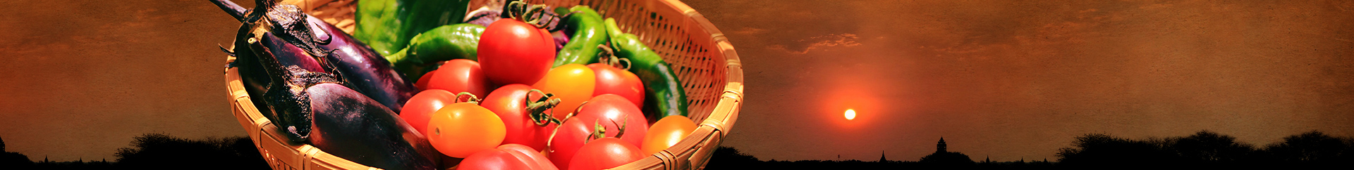 農家限定 益子のそば