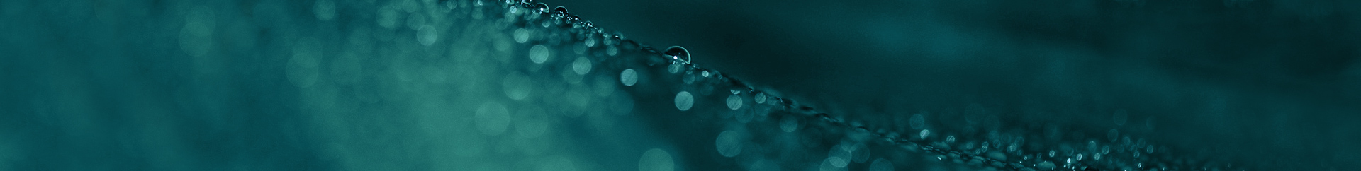 農家限定 益子のそば